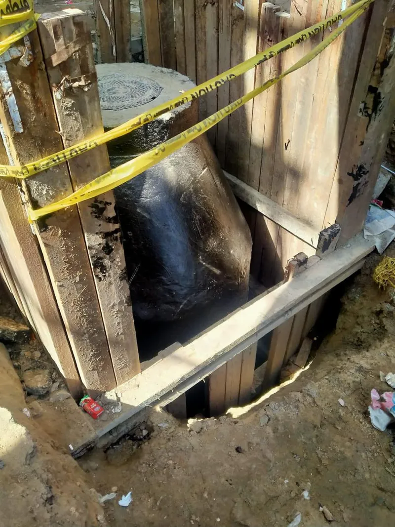 Project Image 15